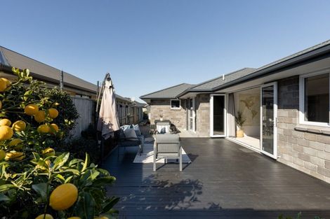 Photo of property in 56 Te Kio Crescent, Papamoa Beach, Papamoa, 3118