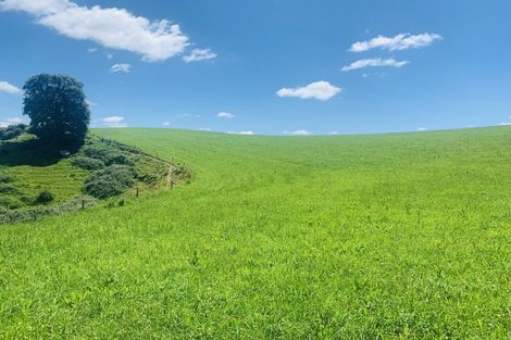 Photo of property in 231b Morgan Road, Matamata, 3472