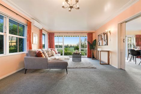 Photo of property in 45 Balfour Crescent, Riverlea, Hamilton, 3216