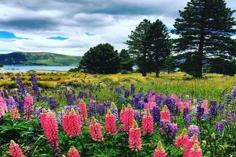 Photo of property in 29 Lochinver Avenue, Lake Tekapo, 7999