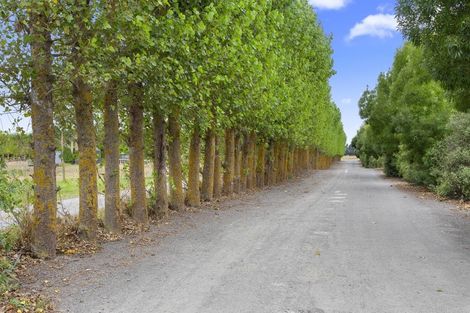 Photo of property in 305 Lehmans Road, Fernside, Rangiora, 7471