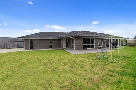 Photo of property in 47 Ritchie Street, Te Aroha, 3320