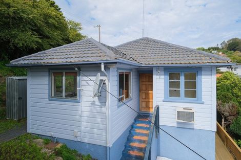 Photo of property in 19 Sunbury Street, Andersons Bay, Dunedin, 9013