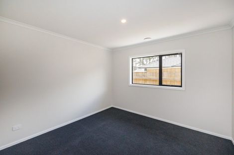 Photo of property in 53 Hereford Street, Marton, 4710