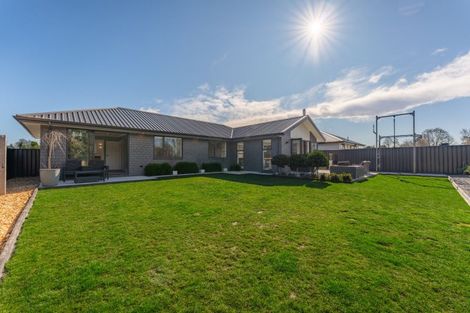 Photo of property in 19 Strawberry Place, Geraldine, 7930