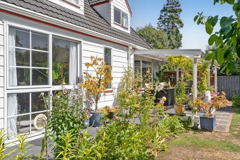 Photo of property in 45a Essex Street, Masterton, 5810