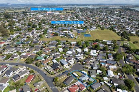 Photo of property in 3 Iris Place, Clendon Park, Auckland, 2103