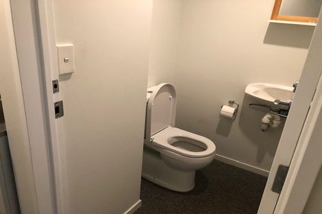 Photo of property in 50a Willoughby Street, Whitiora, Hamilton, 3200