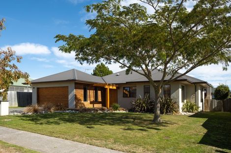 Photo of property in 6 Lester Place, Witherlea, Blenheim, 7201