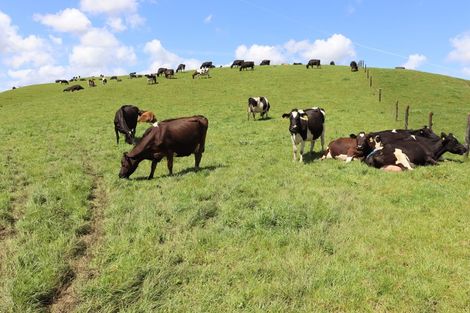 Photo of property in 888a Otaraoa Road, Tikorangi, Waitara, 4383