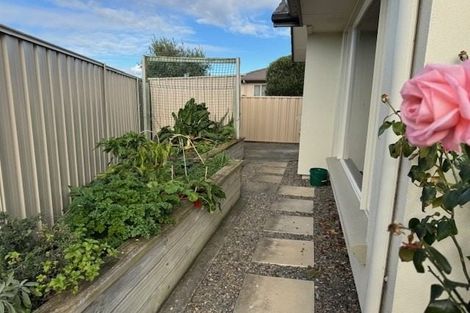 Photo of property in 54 Merlot Drive, Greenmeadows, Napier, 4112