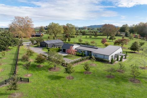 Photo of property in 18 Orchard Place, Matamata, 3472