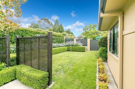 Photo of property in 21 Stella Place, Chartwell, Hamilton, 3210