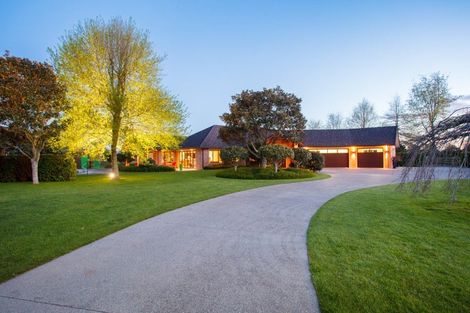 Photo of property in 160 Tower Road, Matamata, 3471