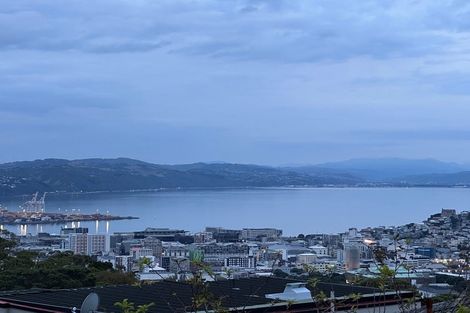 Photo of property in 71 Washington Avenue, Brooklyn, Wellington, 6021