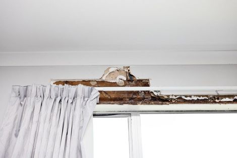 Photo of property in 130 Janet Street, Appleby, Invercargill, 9812