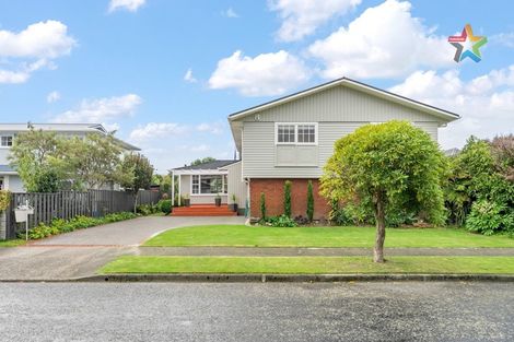 Photo of property in 41 Orr Crescent, Hutt Central, Lower Hutt, 5011