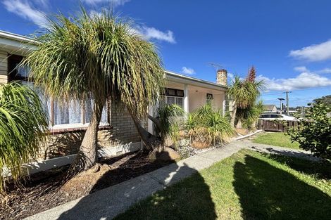 Photo of property in 17 Cambridge Terrace, Papatoetoe, Auckland, 2025