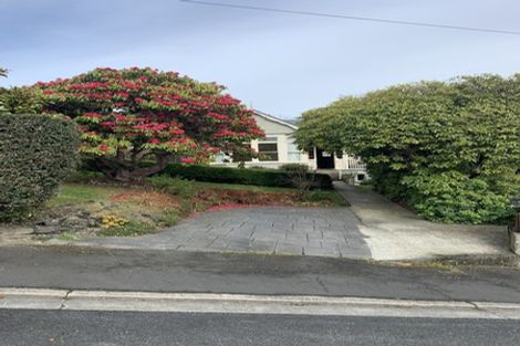 Photo of property in 39 Hereford Street, Kaikorai, Dunedin, 9010