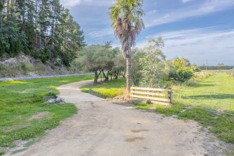 Photo of property in 724 Main North Road, Bay View, Napier, 4182