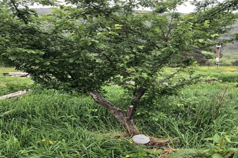 Photo of property in 2a Tongaporutu Road, Ahititi, Urenui, 4378