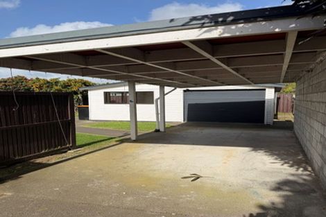 Photo of property in 114 Limbrick Street, Terrace End, Palmerston North, 4410