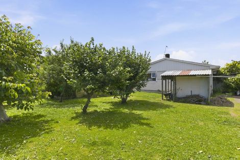 Photo of property in 6 Awatea Street, Levin, 5510