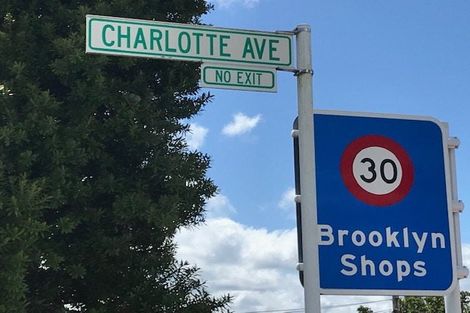 Photo of property in 19 Charlotte Avenue, Brooklyn, Wellington, 6021