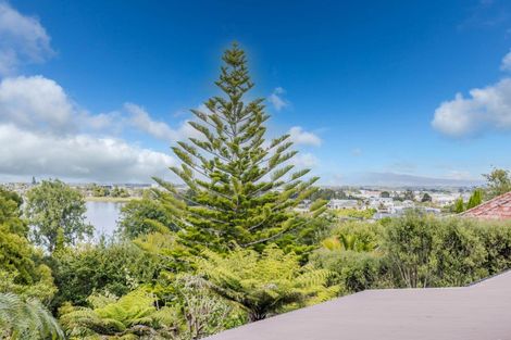 Photo of property in 102 Lake Road, Frankton, Hamilton, 3204