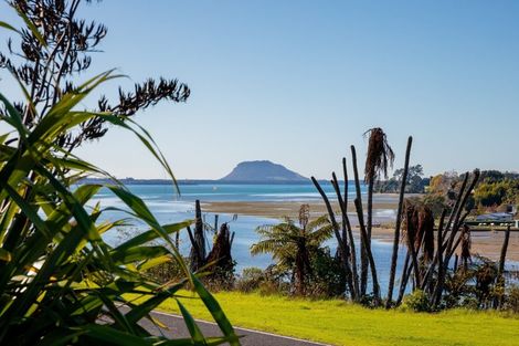 Photo of property in 293 Plummers Point Road, Whakamarama, Tauranga, 3172