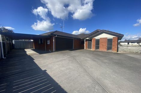 Photo of property in 55 Snell Street, Morrinsville, 3300