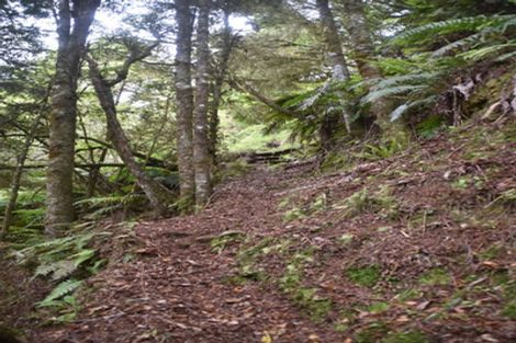 Photo of property in 2005 Ongarue Stream Road, Waimiha, 3998