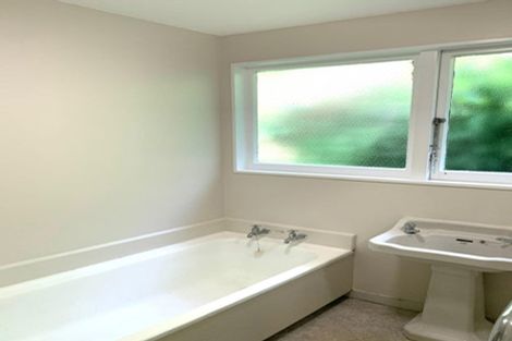 Photo of property in 36 Norway Street, Aro Valley, Wellington, 6012