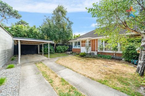 Photo of property in 557b High Street, Boulcott, Lower Hutt, 5010