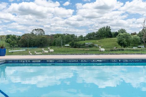 Photo of property in 220 Howden Road, Temple View, Hamilton, 3289