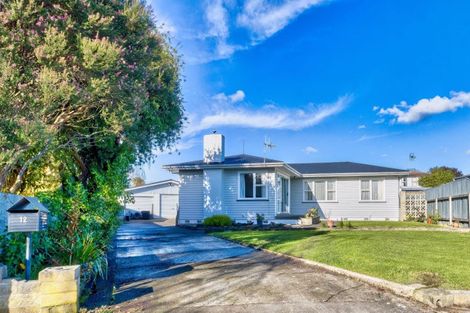 Photo of property in 12 Woodhouse Place, Pirimai, Napier, 4112