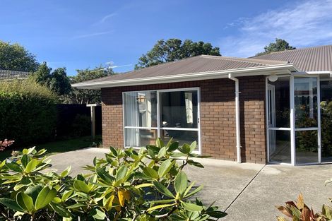 Photo of property in 55b Halswell Road, Hillmorton, Christchurch, 8025