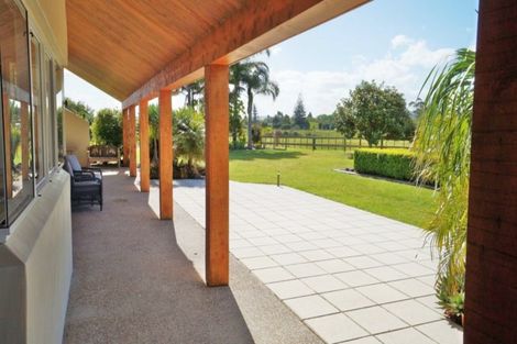 Photo of property in 93 Uretiti Road, Waipu, 0582