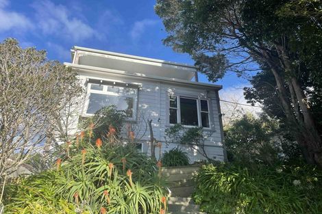 Photo of property in 55 Hankey Street, Mount Cook, Wellington, 6011
