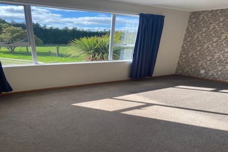 Photo of property in 175 Fairweather Road, Mill Road, Invercargill, 9872