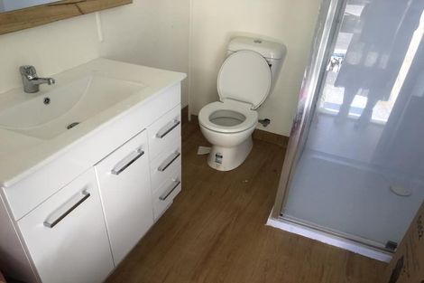 Photo of property in 38 Helena Road, Hillcrest, Hamilton, 3216