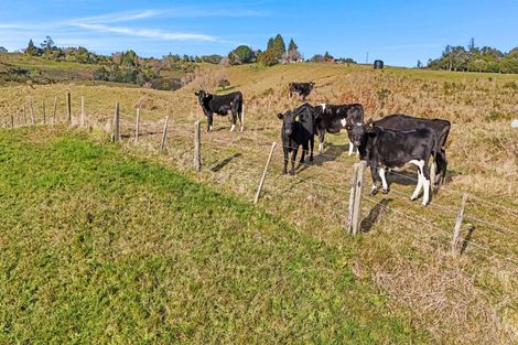 Photo of property in 20 Laurel Drive, Whakamarama, Tauranga, 3179
