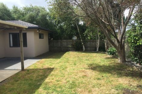 Photo of property in 49 Solomon Street, Brookfield, Tauranga, 3110