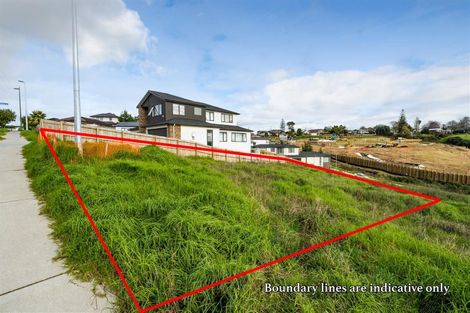 Photo of property in 34 Mcwhirters Farm Lane, Massey, Auckland, 0614