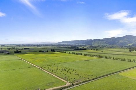 Photo of property in 145 Campbells Road, Pine Hill, Dunedin, 9010