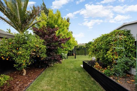 Photo of property in 43 Berkley Avenue, Hillcrest, Hamilton, 3216