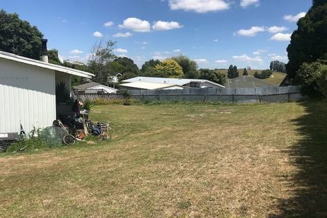 Photo of property in 17 Thornton Street, Putaruru, 3411