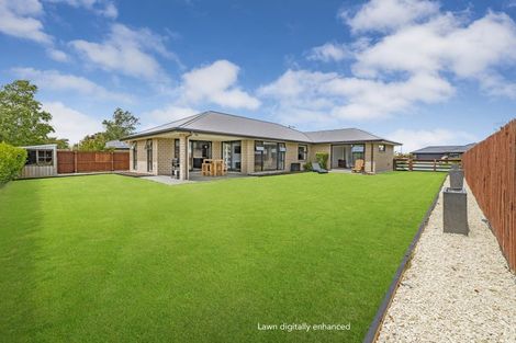 Photo of property in 31 Carston Street, Leeston, 7632
