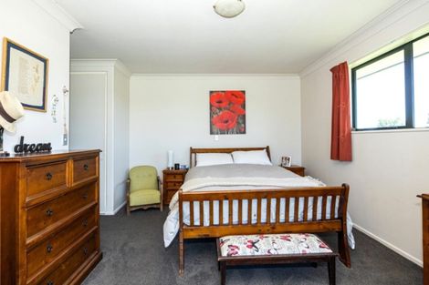 Photo of property in 119 Orari Back Road, Geraldine, 7992