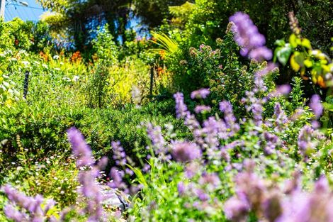 Photo of property in 21 Ferry Road, Days Bay, Lower Hutt, 5013